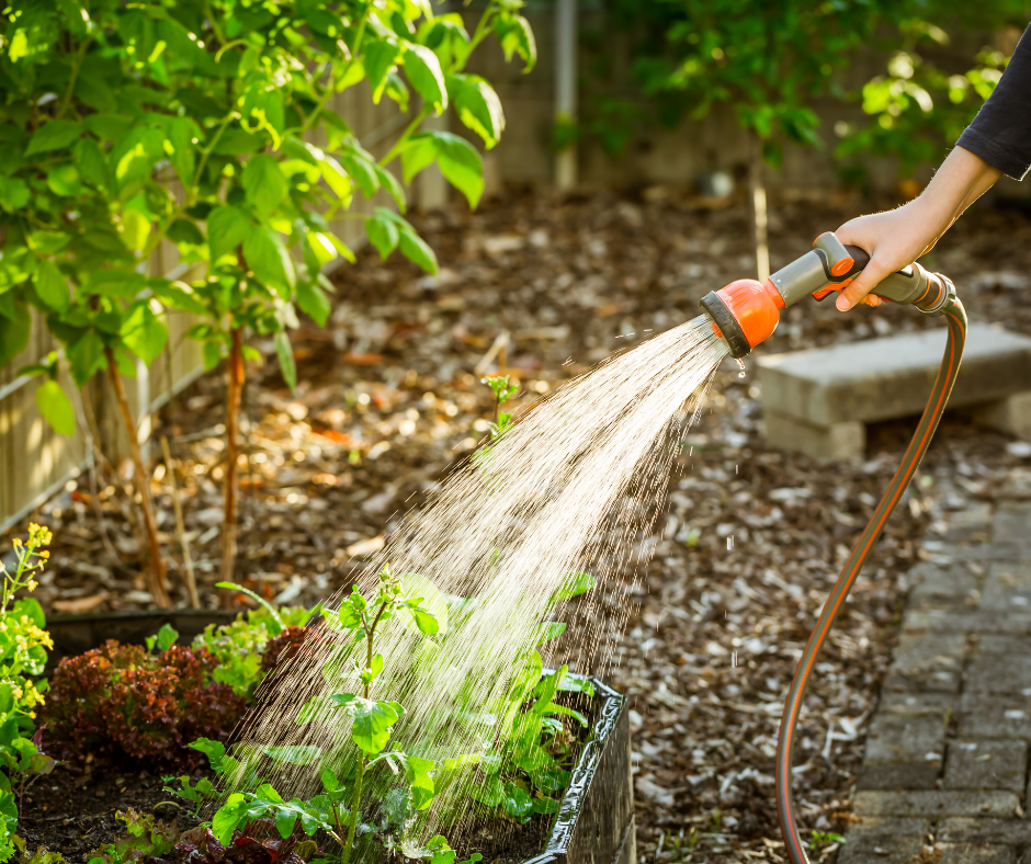 Permitted uses of STP treated water like gardening