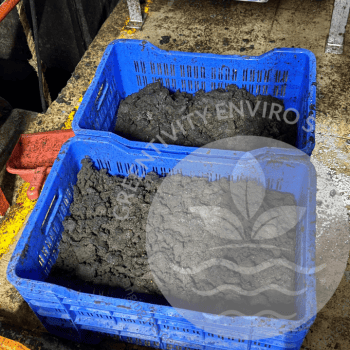 Sludge generated in an STP is removed using Filter Press