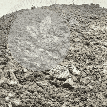Sludge drying in sun after removing from the STP using Filter Press